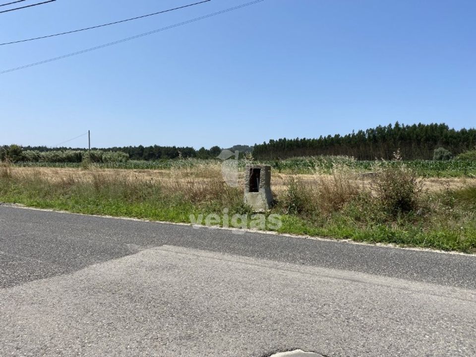 Helårsgrund i Santo Onofre e Serra do Bouro, Leiria - foto 3
