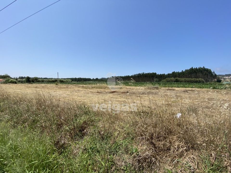 Helårsgrund i Santo Onofre e Serra do Bouro, Leiria - foto 4