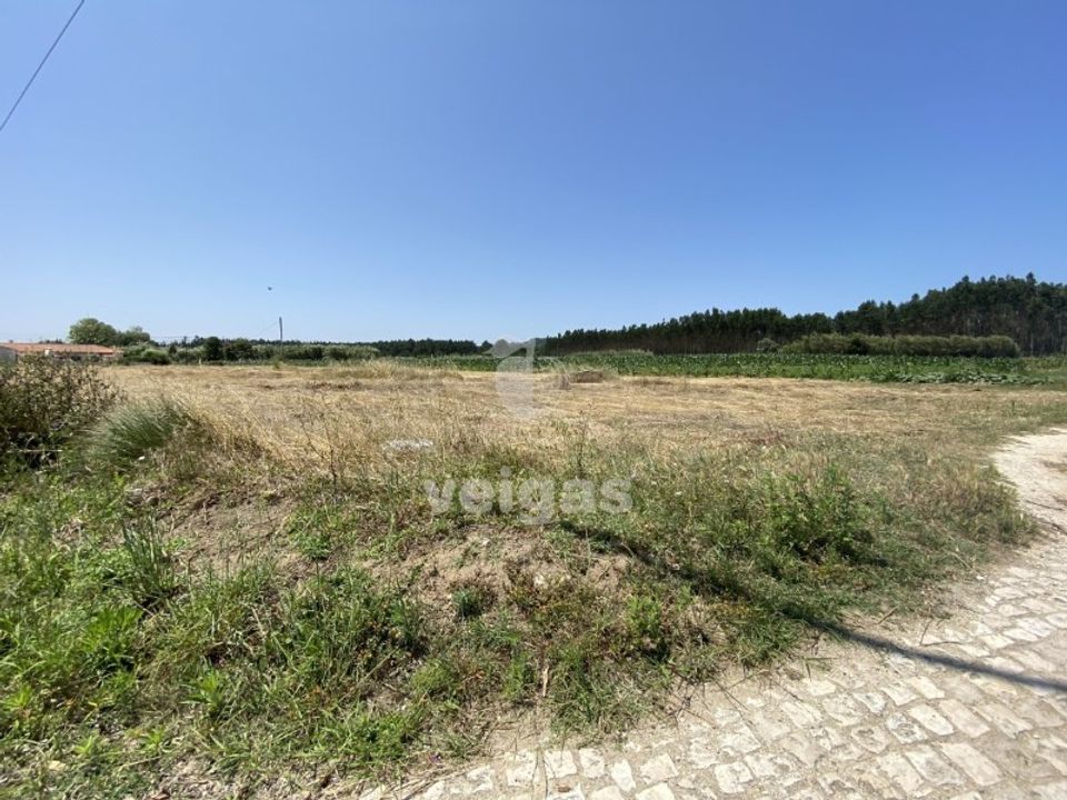 Helårsgrund i Santo Onofre e Serra do Bouro, Leiria - foto 5