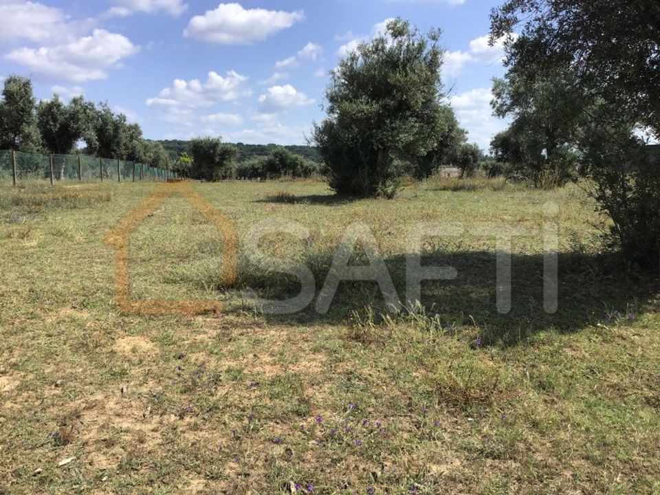 Erhvervsejendom i Abrantes, Santarem - foto 3