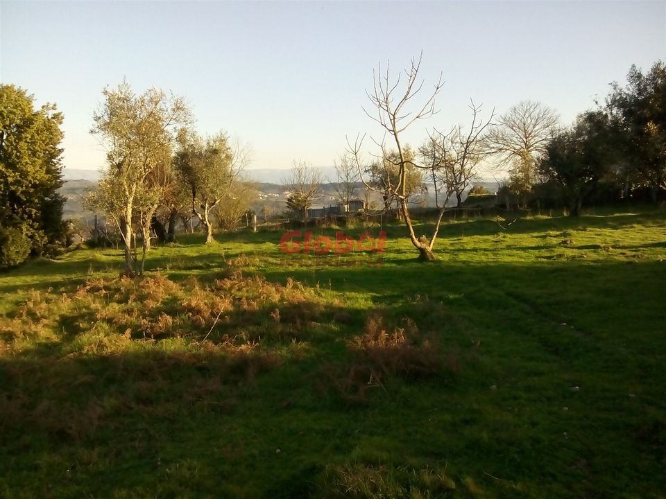 Helårsgrund i Viseu, Viseu - foto 5