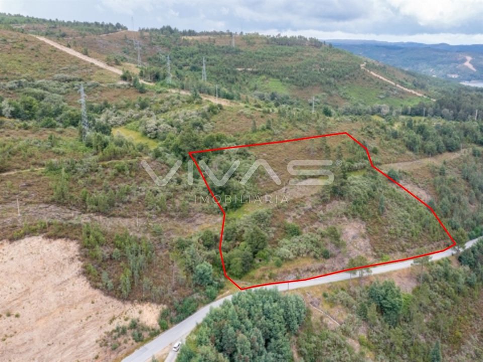 Farm i Montalegre, Vila Real - foto 2