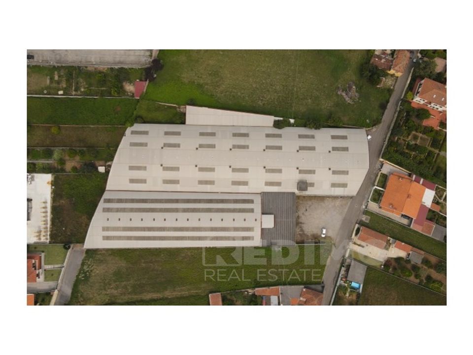 Propiedad comercial en Cortegaca, Aveiro - foto 5