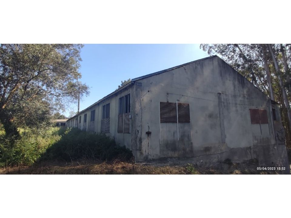 Erhvervsejendom i Souto da Carpalhosa e Ortigosa, Leiria - foto 2
