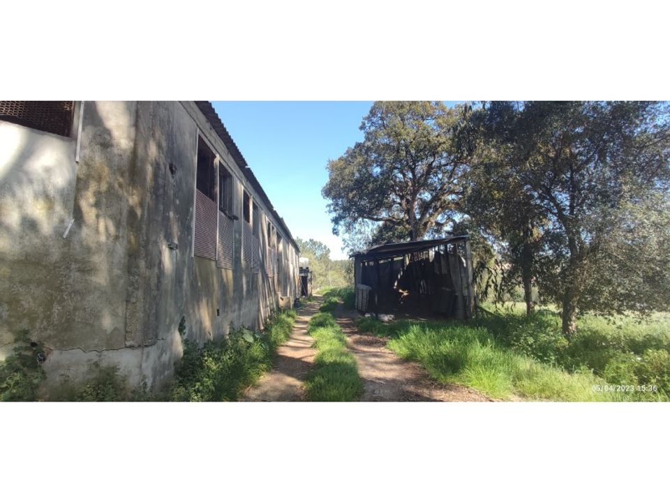 Erhvervsejendom i Souto da Carpalhosa e Ortigosa, Leiria - foto 4