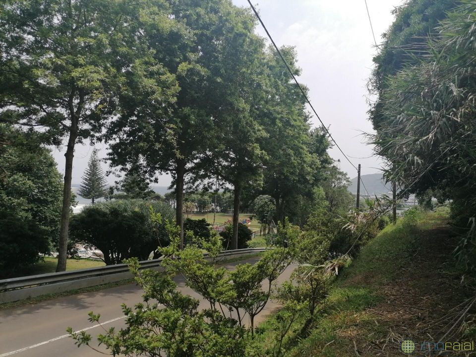Terreno en Horta, Faial - foto 1