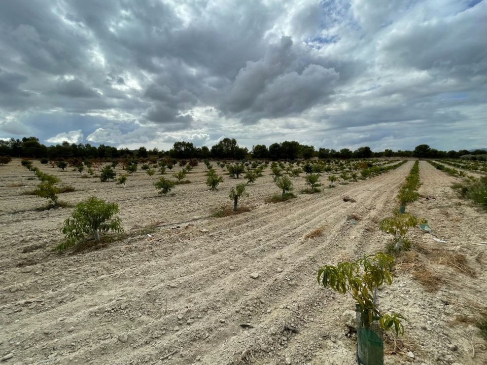 Landejendom i Cieza, Murcia - foto 5