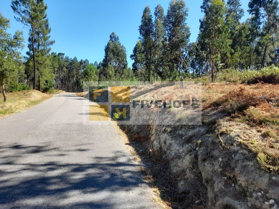 Helårsgrund i Santo Andre, Setubal - foto 3