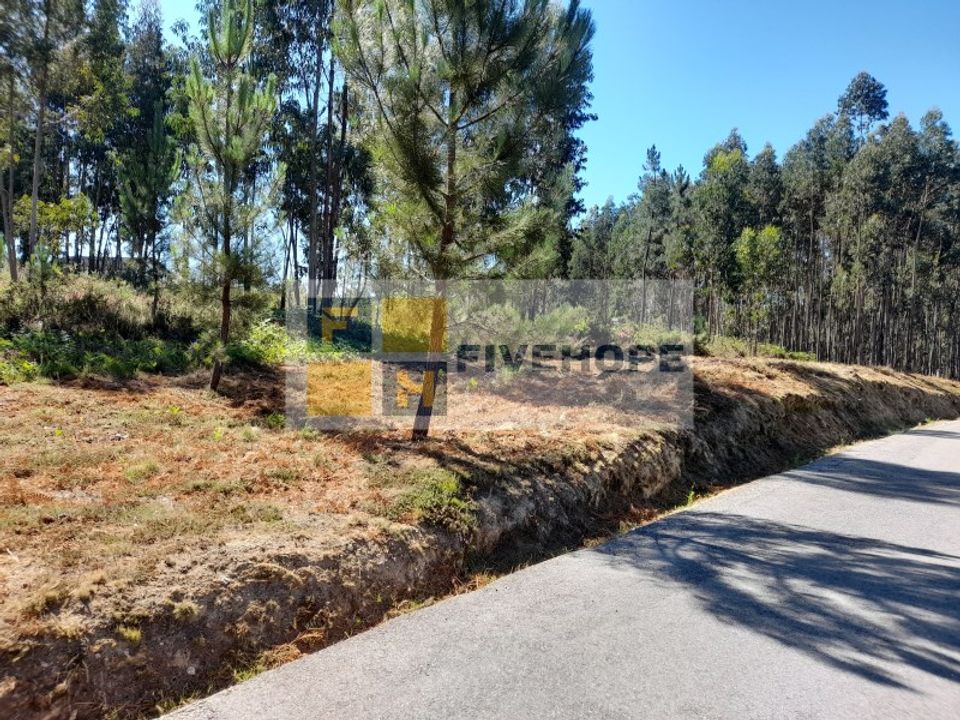 Helårsgrund i Santo Andre, Setubal - foto 4