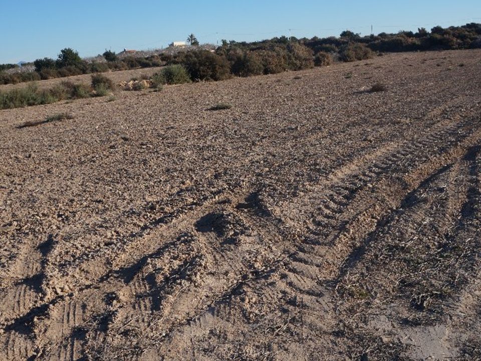 Helårsgrund i Elche, Alicante - foto 3