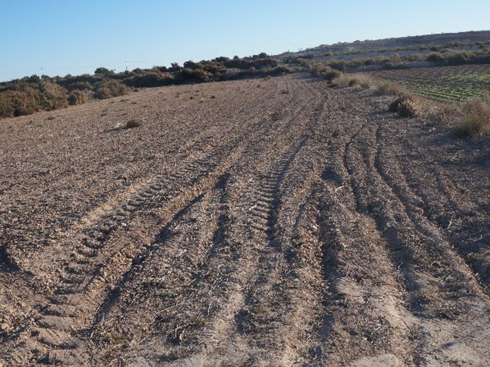 Helårsgrund i Elche, Alicante - foto 4