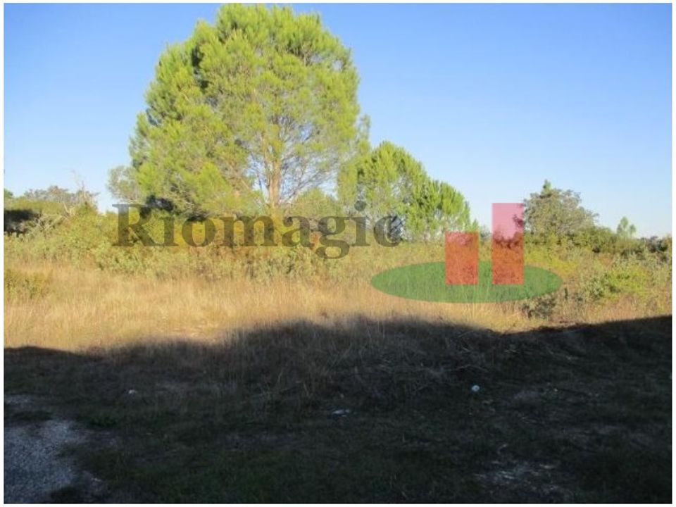 Helårsgrund i Tomar, Santarem - foto 2