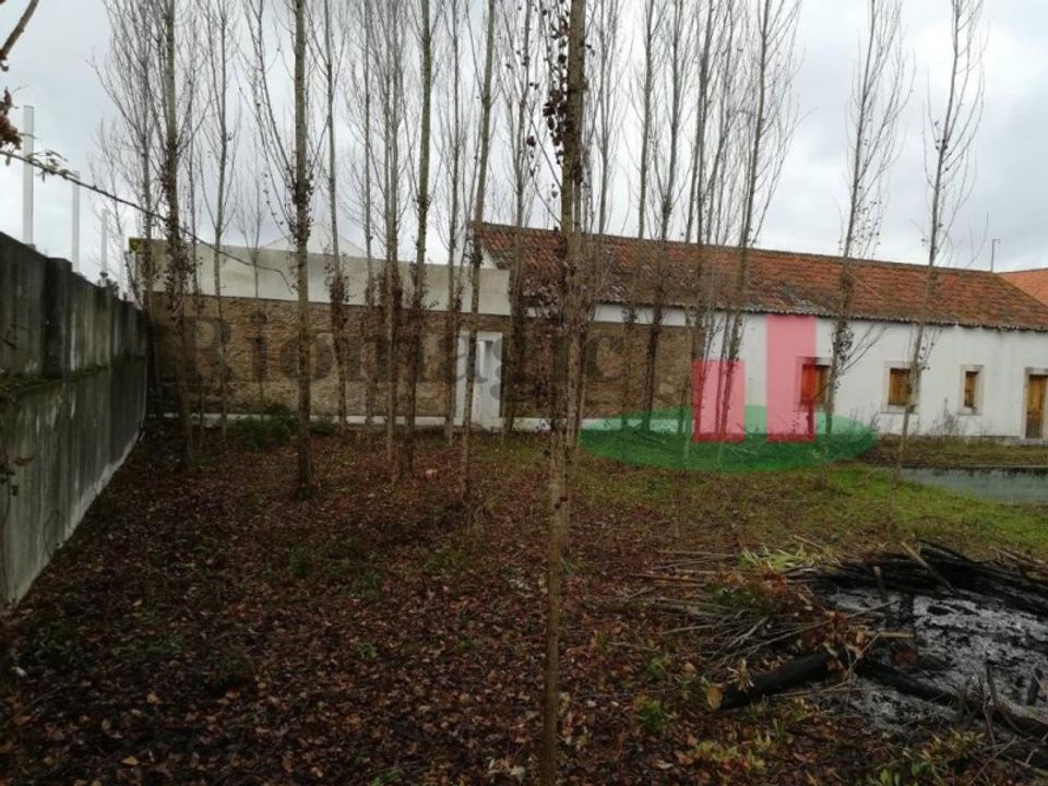 Villa i Montalvo, Santarem - foto 3