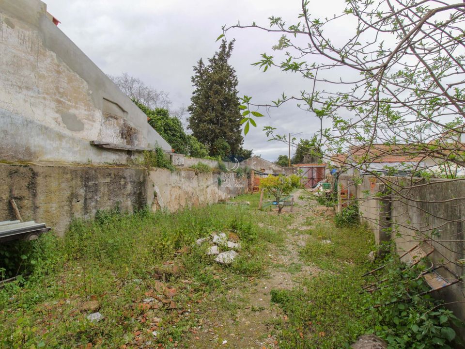 Villa i Golega, Santarem - foto 4
