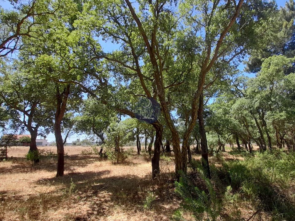 Helårsgrund i Chamusca, Santarem - foto 3