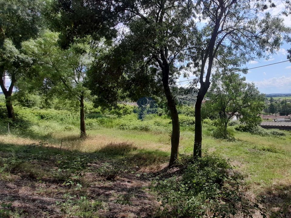 Helårsgrund i Chamusca, Santarem - foto 3