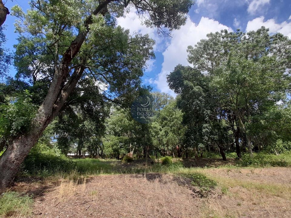 Helårsgrund i Chamusca, Santarem - foto 4