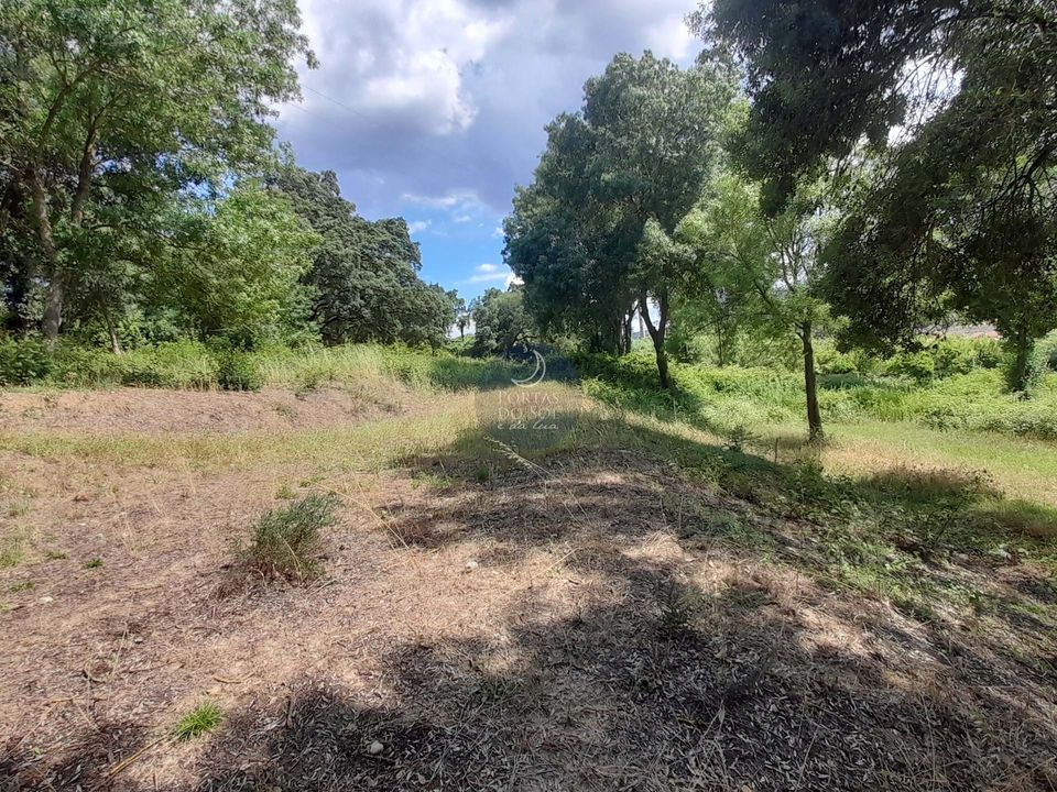 Helårsgrund i Chamusca, Santarem - foto 5