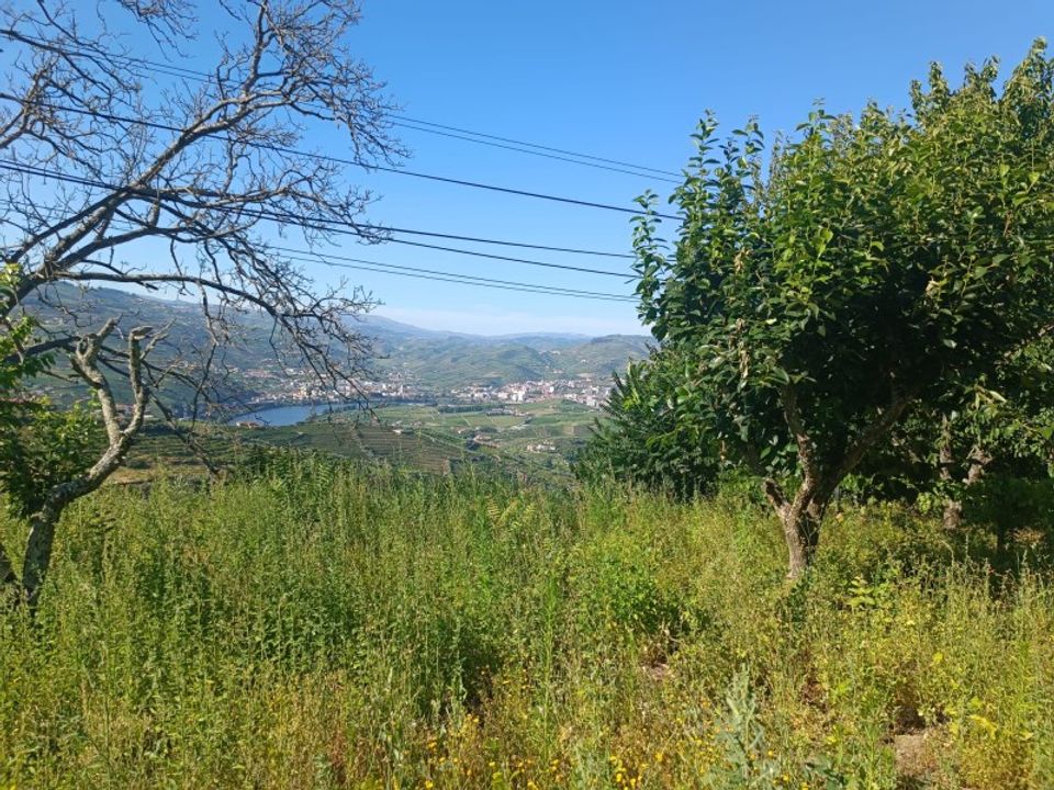 Helårsgrund i Lamego, Viseu - foto 1