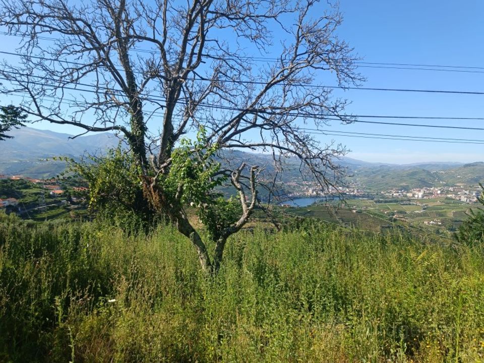 Helårsgrund i Lamego, Viseu - foto 2