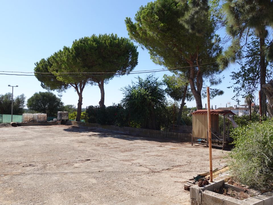 Finca i Benalup-Casas Viejas, Cadiz - foto 5