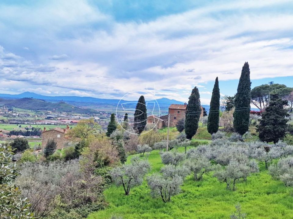 Landejendom i Castiglion Fiorentino, Arezzo - foto 2