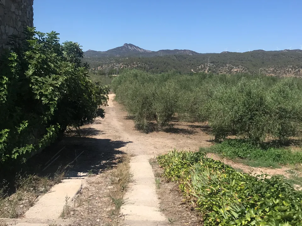 Finca i Garcia, Tarragona - foto 4