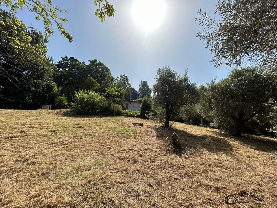 Villa i Poggio Catino, Rieti - foto 4