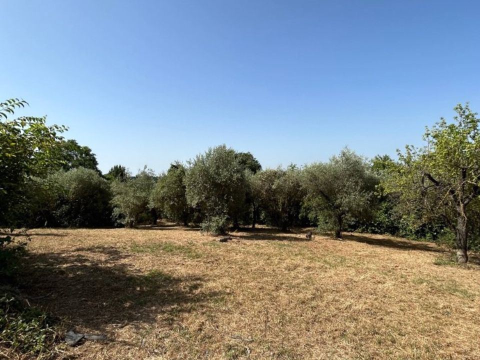 Villa i Poggio Catino, Rieti - foto 5
