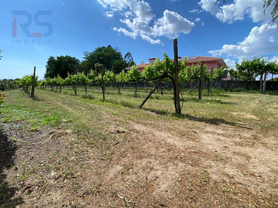 Granja a Nogueira, Porto - foto 3