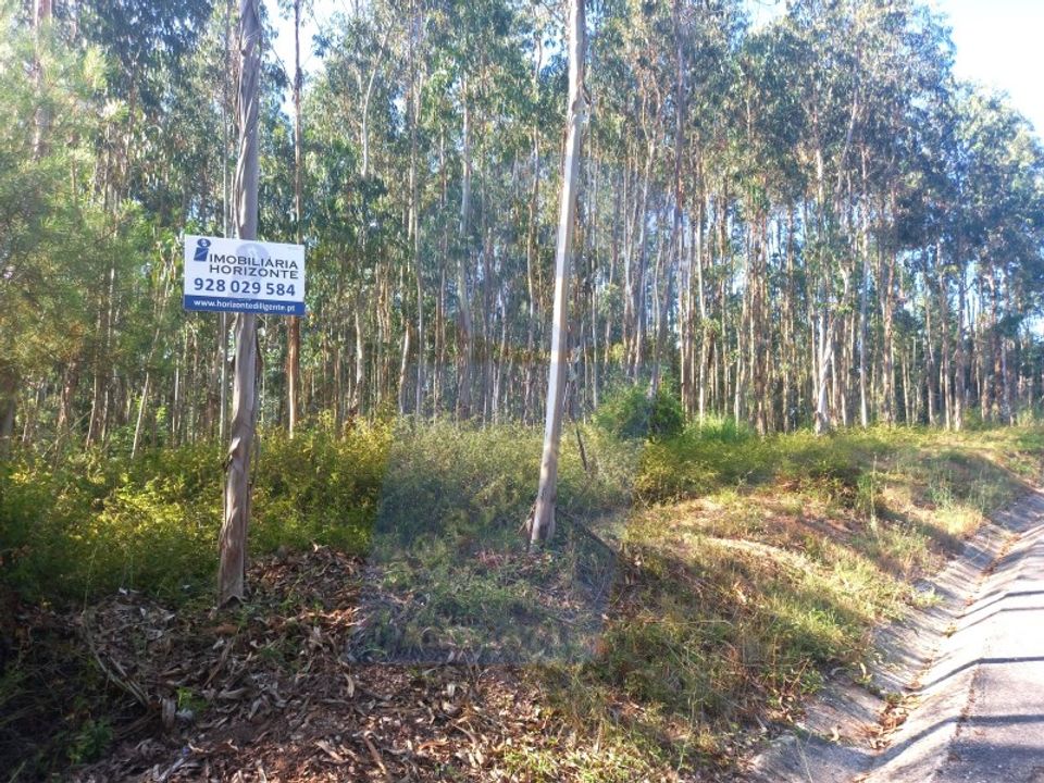 Helårsgrund i Barro, Aveiro - foto 1