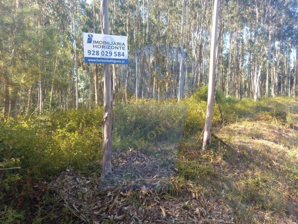 Helårsgrund i Barro, Aveiro - foto 2