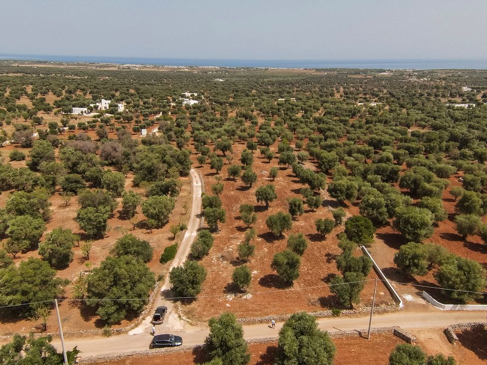 Helårsgrund i Carovigno, Brindisi - foto 1
