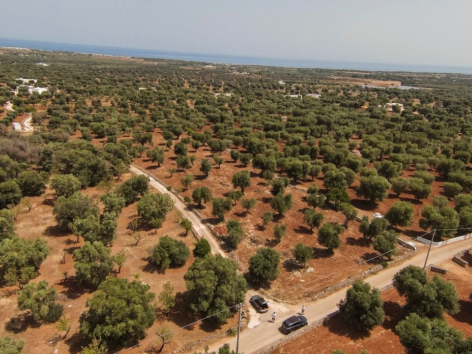 Helårsgrund i Carovigno, Brindisi - foto 2