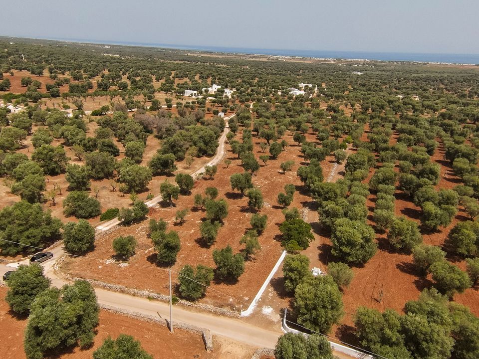 Helårsgrund i Carovigno, Brindisi - foto 3