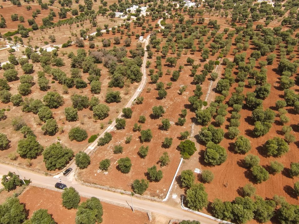Helårsgrund i Carovigno, Brindisi - foto 4