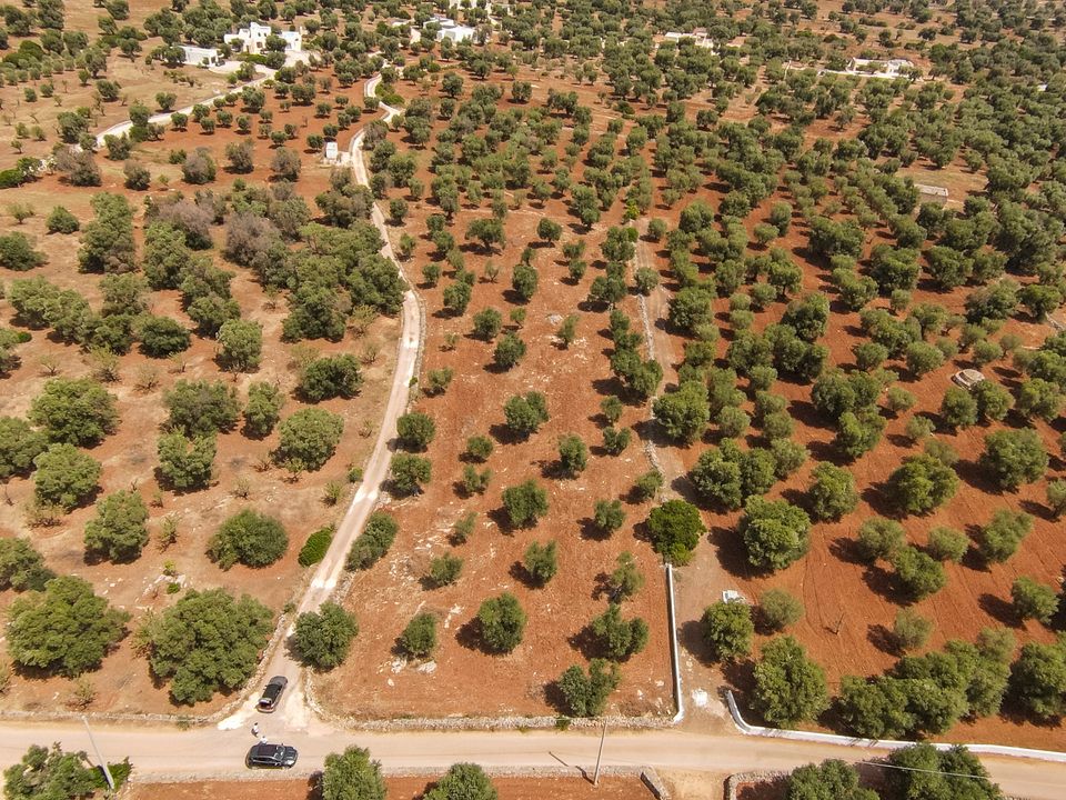 Helårsgrund i Carovigno, Brindisi - foto 5