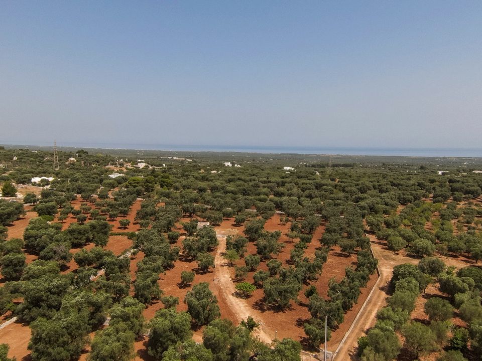 Villa i Carovigno, Brindisi - foto 1