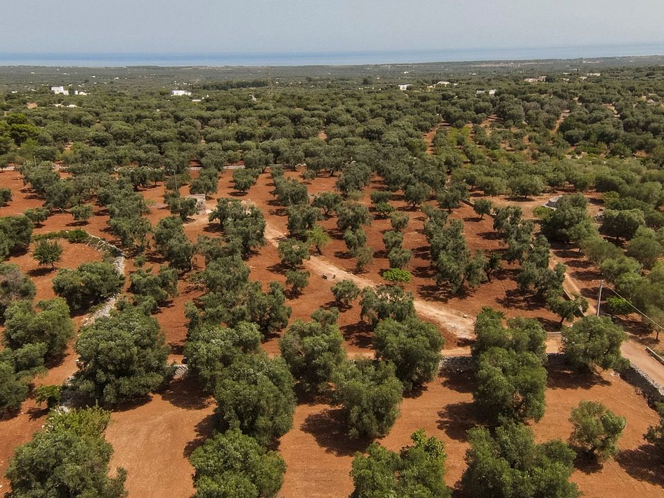 Villa i Carovigno, Brindisi - foto 3