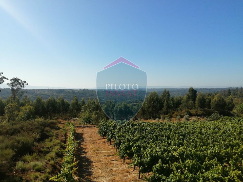 Farm i Viseu, Viseu - foto 2