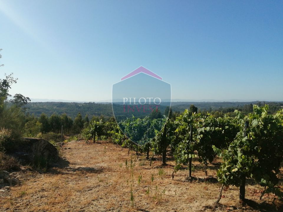 Farm i Viseu, Viseu - foto 4