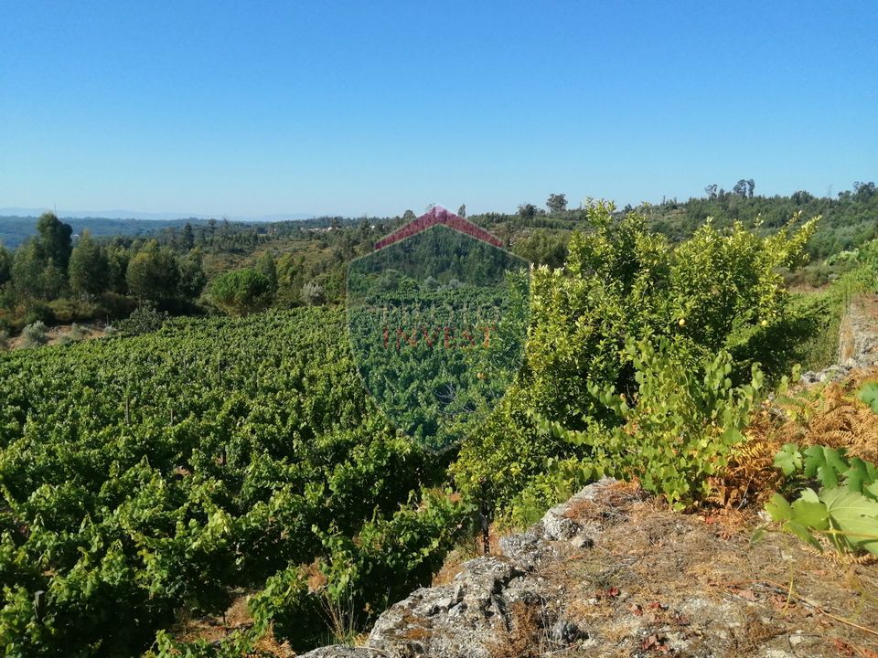 Farm i Viseu, Viseu - foto 5