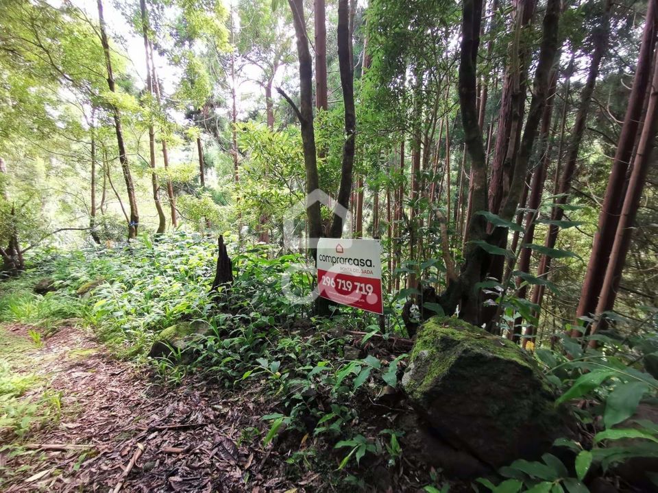 Helårsgrund i Nordeste, Sao Miguel - foto 3
