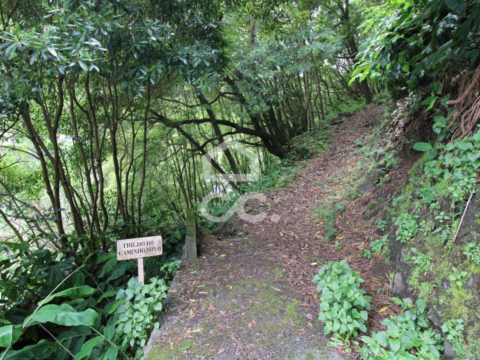 Helårsgrund i Nordeste, Sao Miguel - foto 2