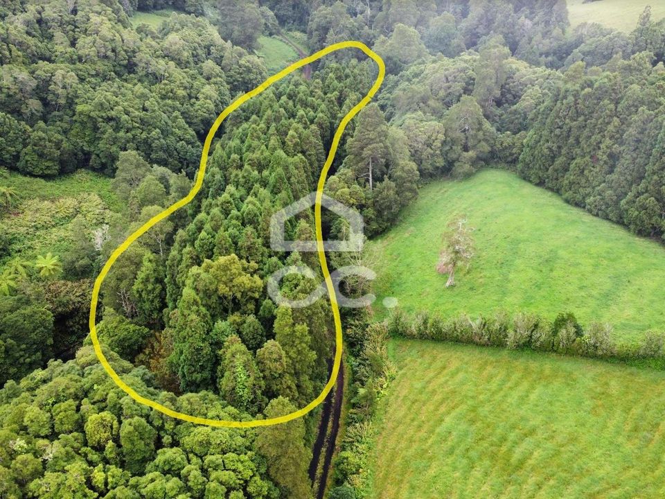 Helårsgrund i Nordeste, Sao Miguel - foto 3
