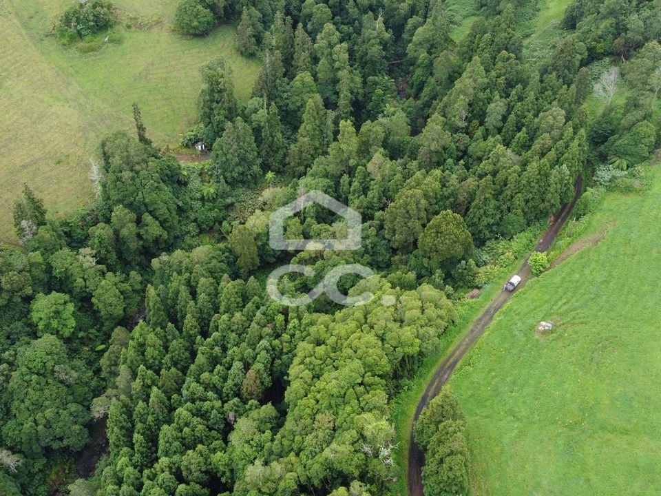 Helårsgrund i Nordeste, Sao Miguel - foto 4
