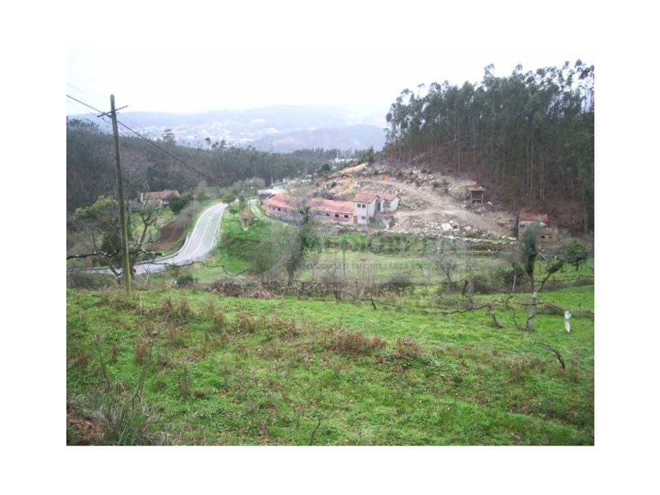 Boerderij in Sever do Vouga, Aveiro - foto 1