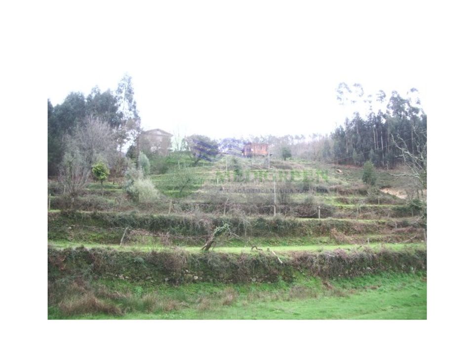 Boerderij in Sever do Vouga, Aveiro - foto 2