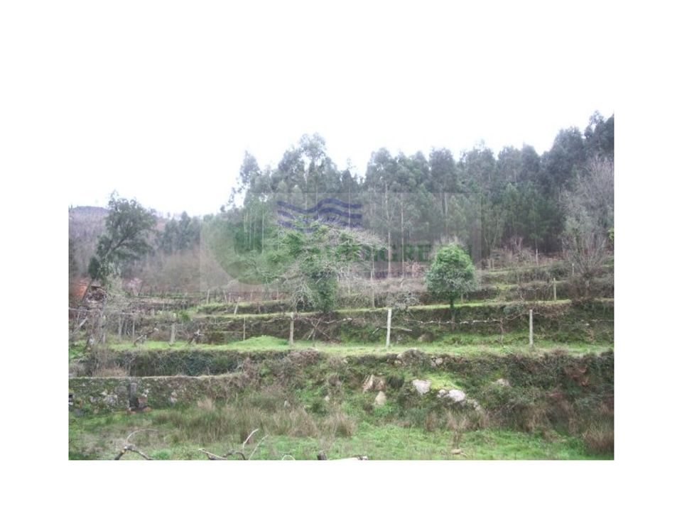 Boerderij in Sever do Vouga, Aveiro - foto 3