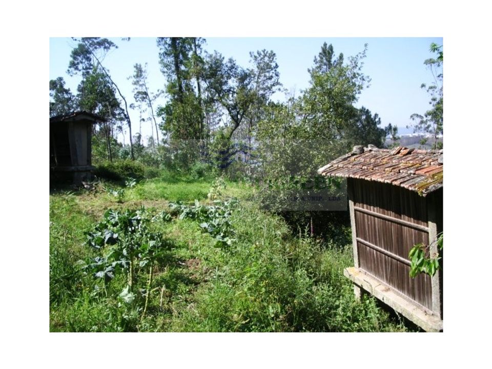 Farm i Sever do Vouga, Aveiro - foto 3